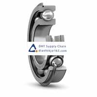 Bearings-seals SKF_6307 NR