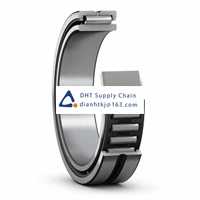 Bearings-seals SKF_NA 6905