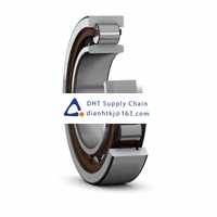 Bearings-seals SKF_NU 319 ECP