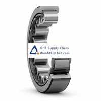 Bearings-seals SKF_RNU 203 ECP