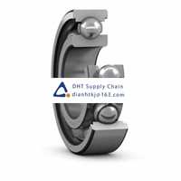 Bearings-seals SKF_6003 TN9/C3