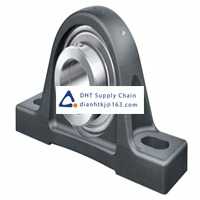 Bearings-seals INA_RASEY45-XL